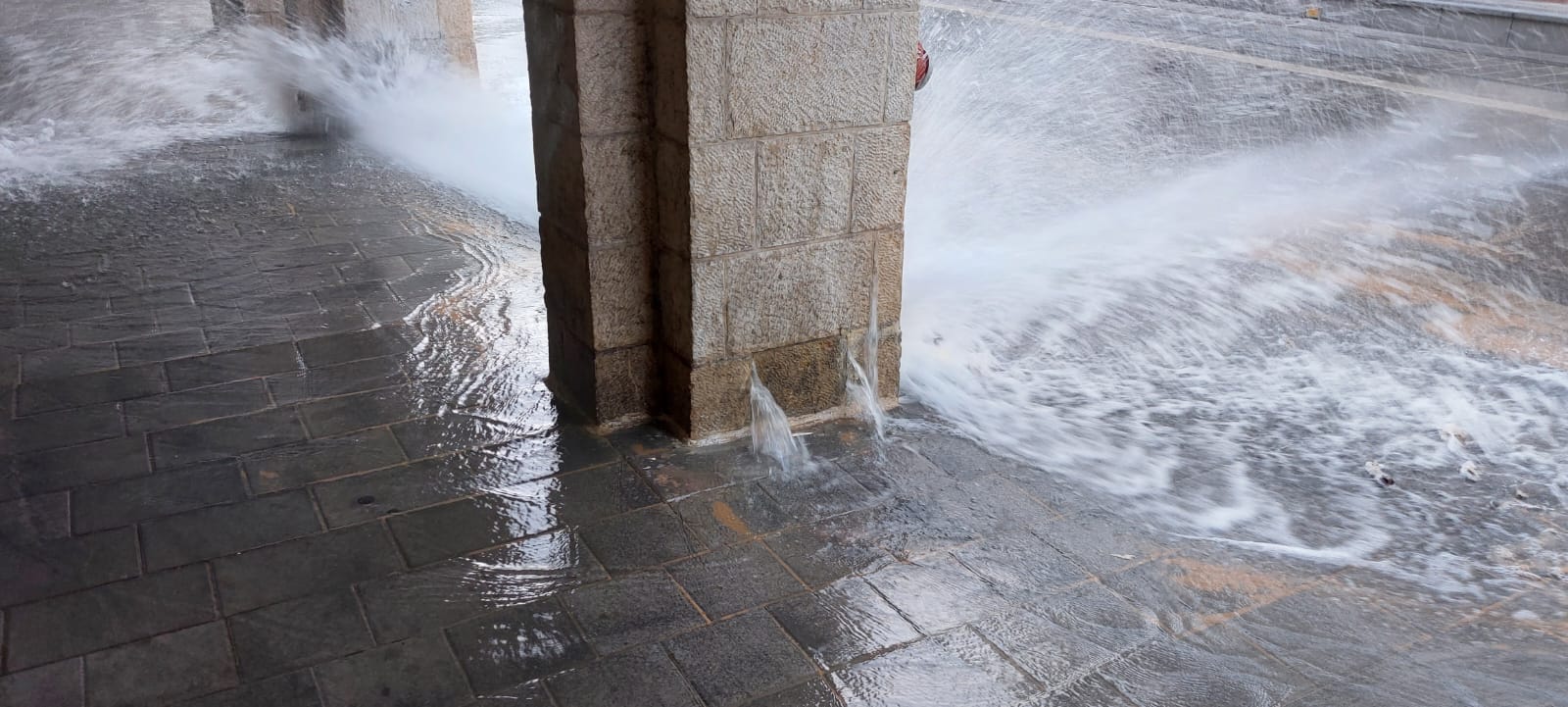 WhatsApp Image 2022-10-01 at 6.01.28 PM.jpeg